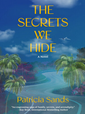 cover image of The Secrets We Hide